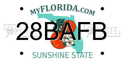 28BAFB Florida License Plate