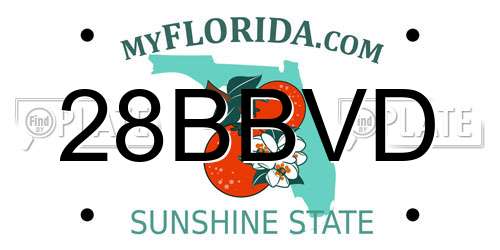 28BBVD Florida License Plate