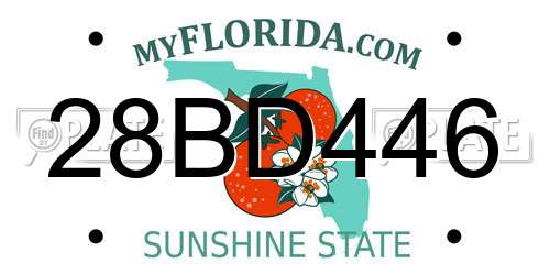 28BD446 Florida License Plate