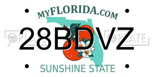 28BDVZ Florida License Plate
