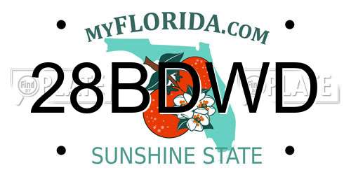 28BDWD Florida License Plate