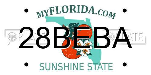 28BEBA Florida License Plate