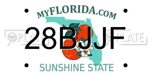 28BJJF Florida License Plate