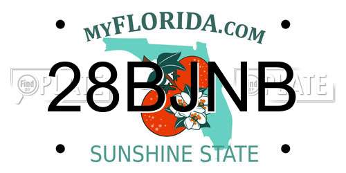 28BJNB Florida License Plate