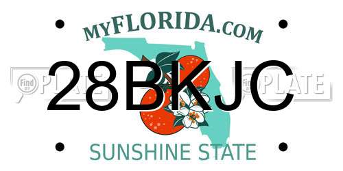28BKJC Florida License Plate