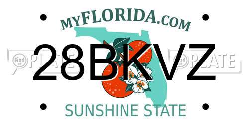 28BKVZ Florida License Plate