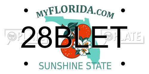 28BLET Florida License Plate