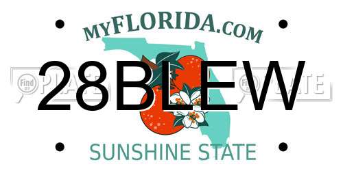 28BLEW Florida License Plate