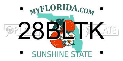 28BLTK Florida License Plate