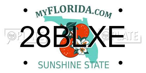28BLXE Florida License Plate