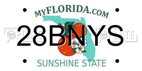 28BNYS Florida License Plate