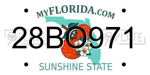28BO971 Florida License Plate