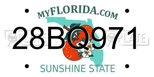 28BQ971 Florida License Plate