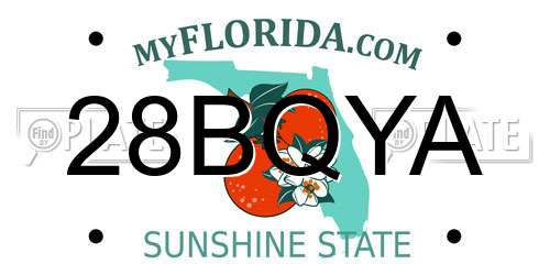 28BQYA Florida License Plate