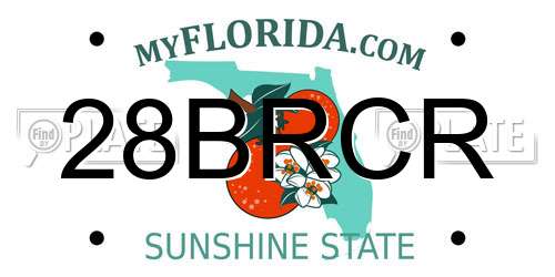 28BRCR Florida License Plate