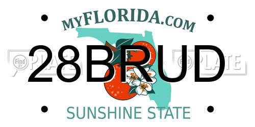 28BRUD Florida License Plate