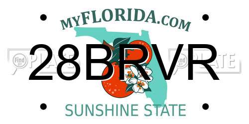 28BRVR Florida License Plate