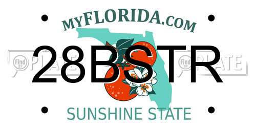 28BSTR Florida License Plate