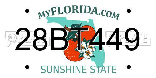 28BT449 Florida License Plate