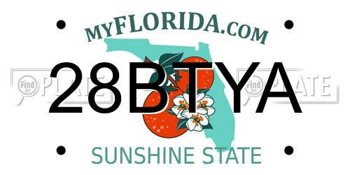 28BTYA Florida License Plate