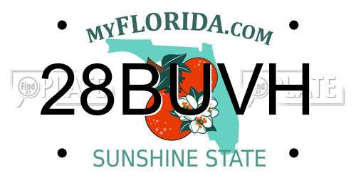 28BUVH Florida License Plate