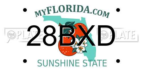 28BXD Florida License Plate