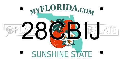 28CBIJ Florida License Plate