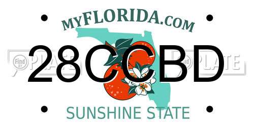 28CCBD Florida License Plate