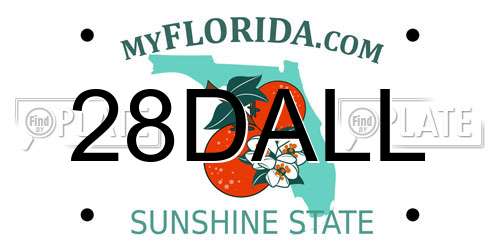 28DALL Florida License Plate