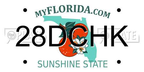 28DCHK Florida License Plate