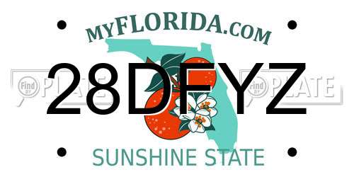 28DFYZ Florida License Plate