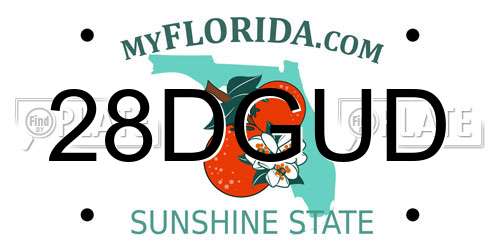 28DGUD Florida License Plate