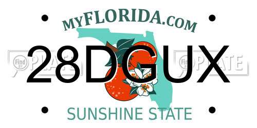 28DGUX Florida License Plate