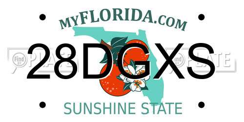 28DGXS Florida License Plate