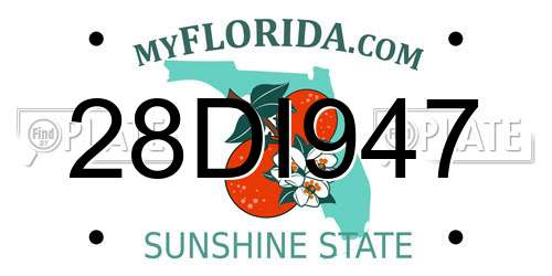 28DI947 Florida License Plate