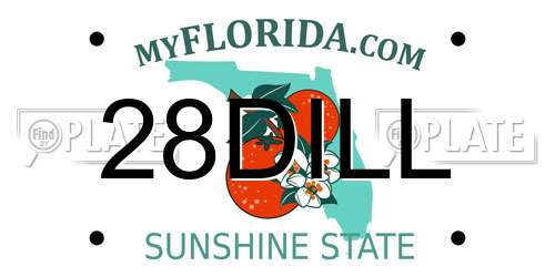 28DILL Florida License Plate