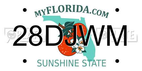 28DJWM Florida License Plate