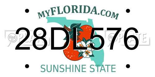 28DL576 Florida License Plate