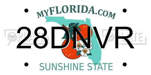 28DNVR Florida License Plate