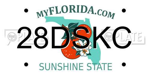28DSKC Florida License Plate