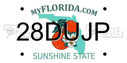 28DUJP Florida License Plate