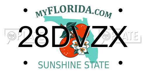 28DVZX Florida License Plate
