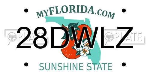 28DWLZ Florida License Plate