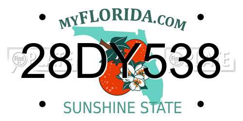 28DY538 Florida License Plate
