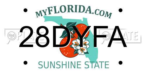 28DYFA Florida License Plate