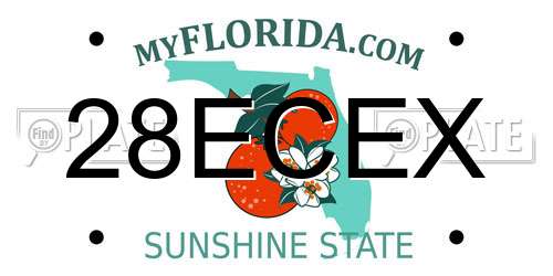 28ECEX Florida License Plate
