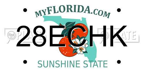 28ECHK Florida License Plate