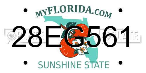 28EG561 Florida License Plate
