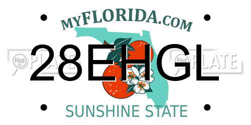 28EHGL Florida License Plate