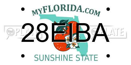 28EIBA Florida License Plate